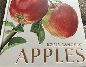 apples